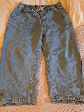 GAP Relaxed Barr Light Blue Denim Pants Lg